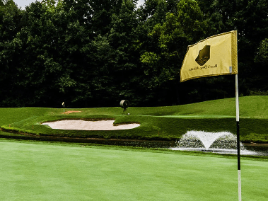 LPGA Amateur Golf Association